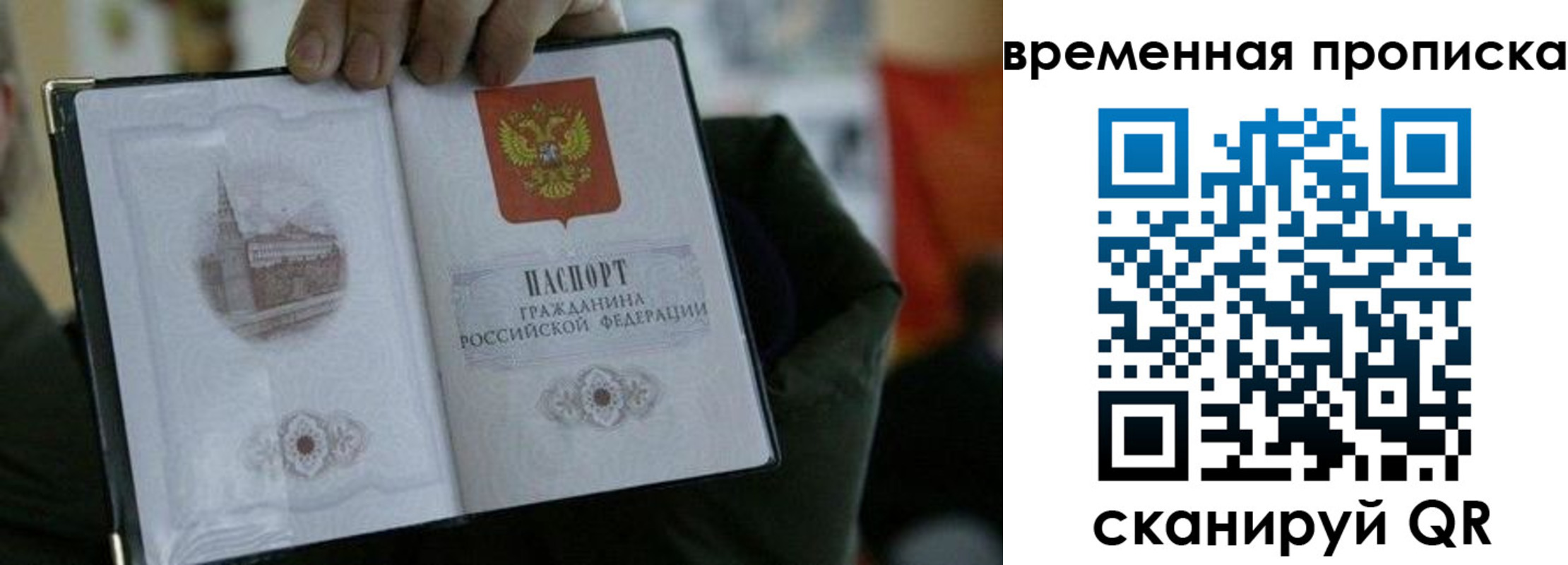 найти адрес прописки в Вольске